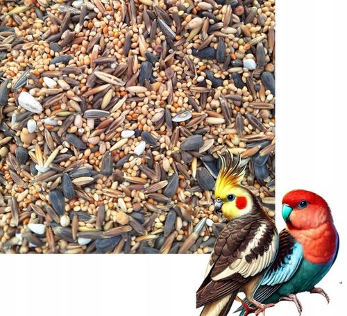 Pokarm dla papug średnich ziarno karma dla nimfy nierozłączki10 kg na Arena.pl