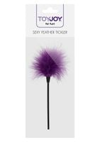 sexy feather tickler purple