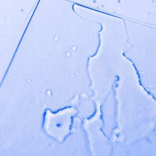 OLEJEK do WŁOSÓW KRĘCONYCH ochronne SERUM ułatwia rozczesywanie TWISTY na Arena.pl