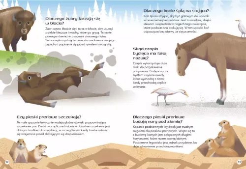 200 Ciekawostek. Zwierzęta Świata na Arena.pl