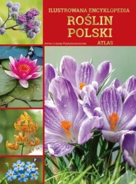 Ilustrowana encyklopedia roślin Polski. Atlas zdjęcie 1