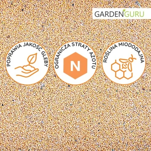 GORCZYCA biała na poplon nasiona MIODODAJNA 25kg na Arena.pl