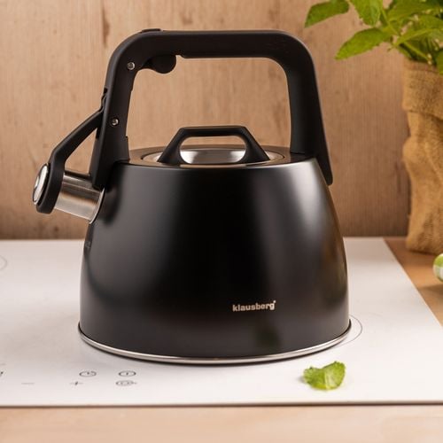 czajnik stalowy z gwizdkiem 2,5l klausberg kb-7915 na Arena.pl