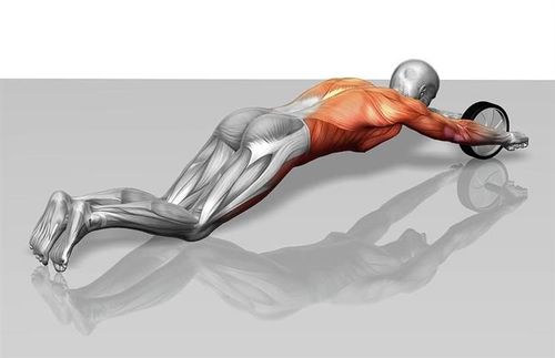 Koło - wałek do ćwiczeń K4567 na Arena.pl