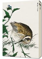 Obraz 40x60cm Greenshank, Kashu Japoński Vintage do Salonu
