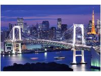 60X40CM ZATOKA TOKIJSKA OBRAZ