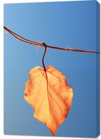 product-compare-59470496