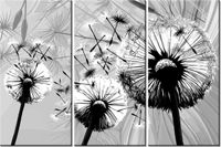 60 90CM OBRAZ 3 ELEM BIAŁE DMUCHAWCE SZARYM TLE DRUK PŁÓTNO RAMA