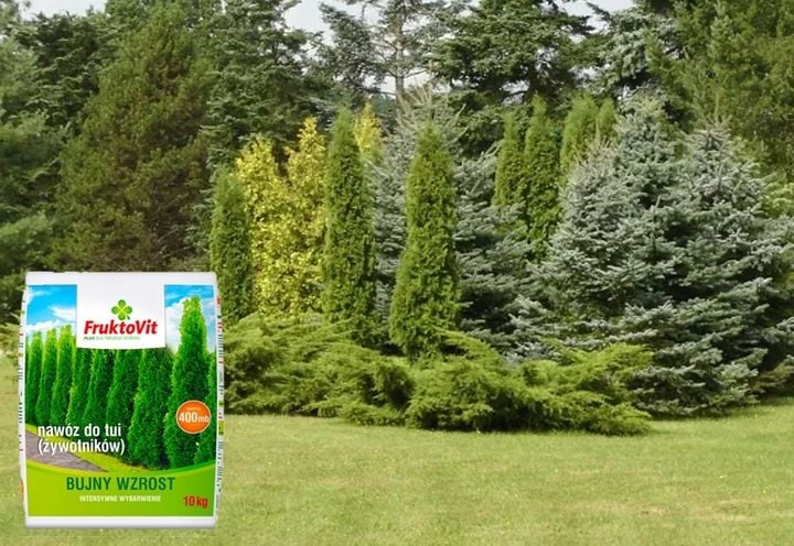 FRUKTOVIT PLUS NAWÓZ DO ŻYWOTNIKÓW TUI THUI BUJNY WZROST WYBARWIENIE 10KG zdjęcie 4