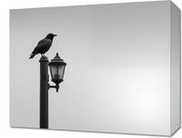 Obraz 50x40cm Samotny Postój Kruka