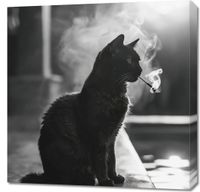 Obraz 70x70cm Kocia Przerwa