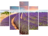 70 100CM OBRAZ 5 ELEM POLE LAWENDY DRUK PŁÓTNO