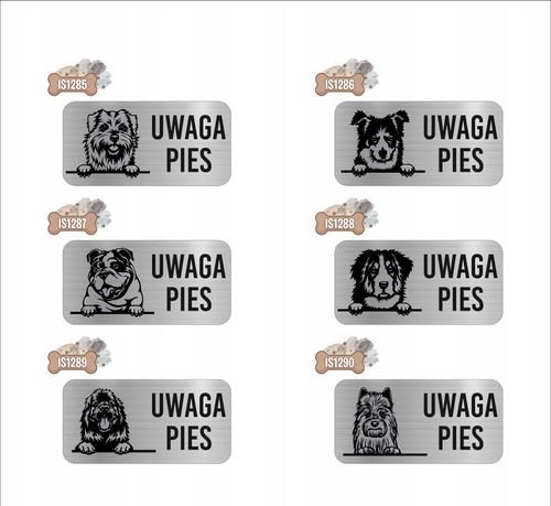 GRAWER Tabliczka nierdzewna laminat 20x10 UWAGA PIES Seter irlandzki na Arena.pl