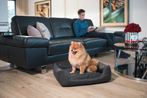 amiplay sofa zipclean 4 in 1 morgan biała s na Arena.pl