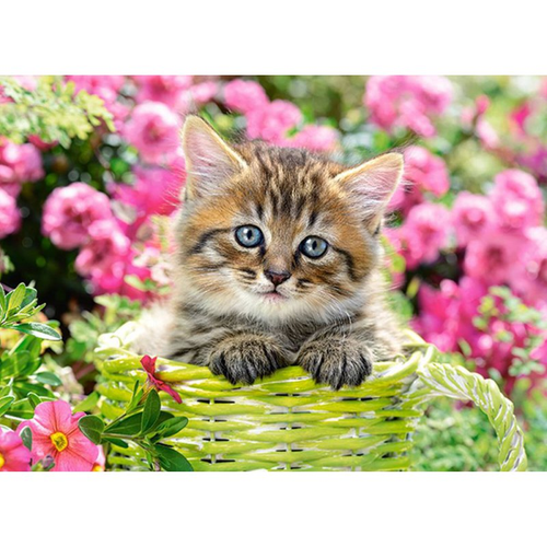 PUZZLE 100 KITTEN IN GARDEN na Arena.pl