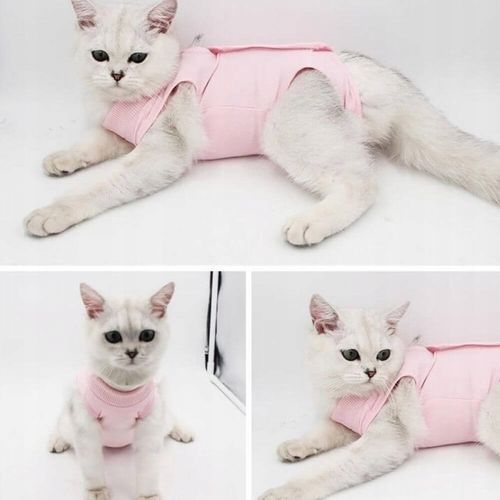 MIĘKKIE UBRANKO POOPERACYJNE DLA KOTA MOLLY S na Arena.pl