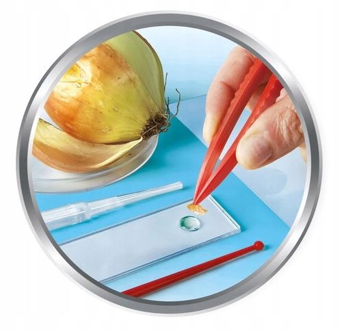 Clementoni Naukowa Zabawa Super mikroskop 50755 na Arena.pl