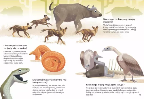 200 Ciekawostek. Zwierzęta Świata na Arena.pl