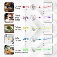 CZAJNIK ELEKTRYCZNY SZKLANY WYJMOWANY ZAPARZACZ REGULACJA TEMPERATURY