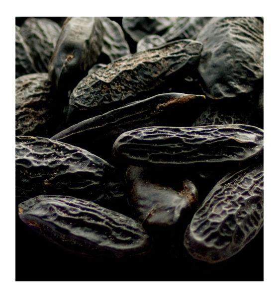 Yodeyma Rafael Davini Woda Perfumowana Dla Kobiet 100ml zdjęcie 5