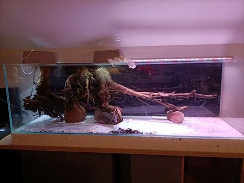 FOLIA CZARNA samoprzylepna TŁO do AKWARIUM 112 litrów 80x40 NA WYMIAR na Arena.pl