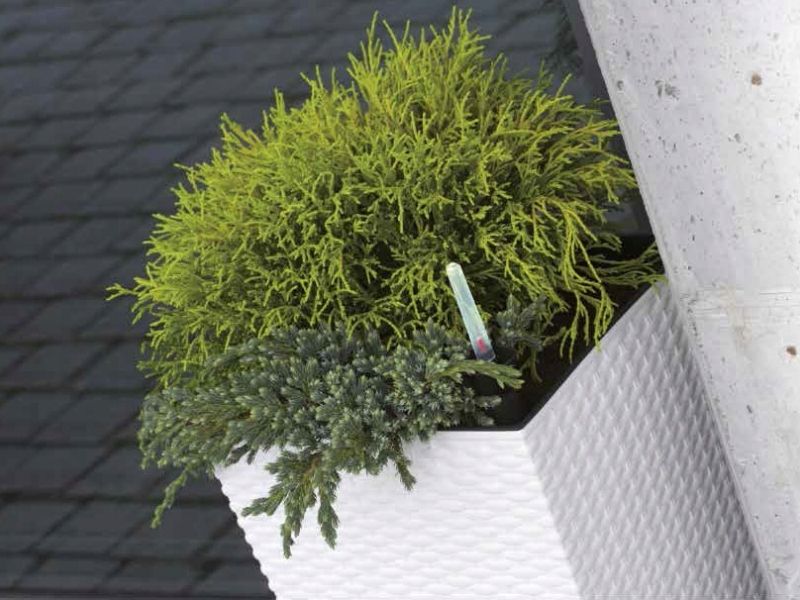 Doniczka RATO niska DRTS170L z wkładem | Umbra zdjęcie 8