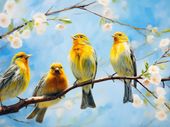 Plakat 80x60cm Wiosenne Pogwizdy