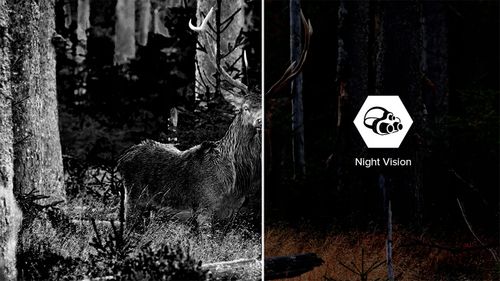 Smartfon Hammer Blade V 5G 6/256 Gb 5000 Mah Nfc Military Edition na Arena.pl