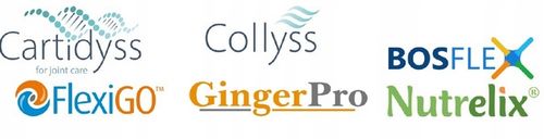 Aliness Duoflexin KOLAGEN TYP I II WIT. C MOCNE STAWY I KOŚCI VEGE 90k na Arena.pl