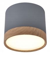Lampa sufitowa punktowa LED tuba szara Candellux