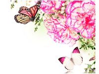 40X50CM KOLOROWE MOTYLKI OBRAZ