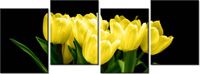 45CM 120 OBRAZ 4 ELEM ŻÓŁTE TULIPANY- MARK FREETH ŚCIENNY