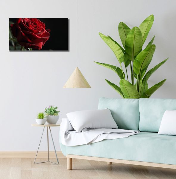 Obraz 60x30cm Róża w Półcieniu zdjęcie 2