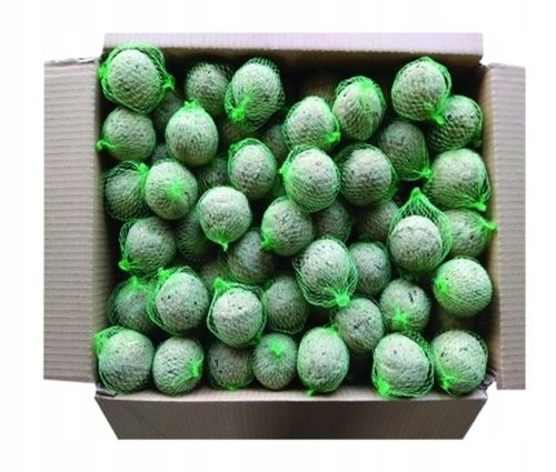 Kule tłuszczowe dla Dzikich Ptaków 100szt PL90-100 na Arena.pl