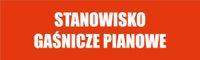 Tabliczka Stanowisko gaśnicze pianowe grawer piktogram 20x6 cm duży wybór