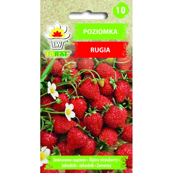 Poziomka RUGIA 0,2g zdjęcie 1