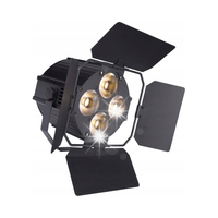 REFLEKTOR SCENICZNY ESTRADOWY OŚWIETLACZ LED PAR LIGHT4ME P4 4x30W LED WW