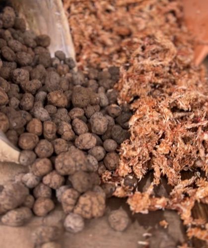 Palik z mchu 80cm sphagnum Podpora do roślin na Arena.pl