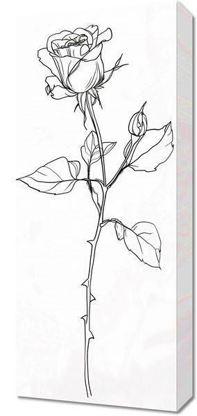 Obraz 30x70cm Kontur Róży zdjęcie 1