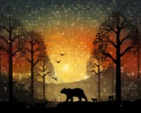 Plakat 50x40cm Zachód w Dzikim Lesie