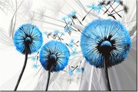 120CM 80CM OBRAZ ŚCIENNY DMUCHAWCE BŁĘKICIE