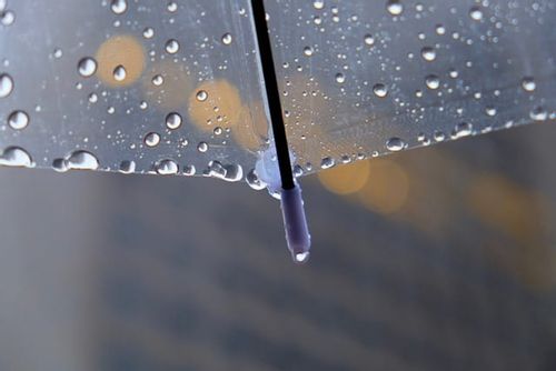 Parasol przeciwdeszczowy Parasolka transparentna na Arena.pl