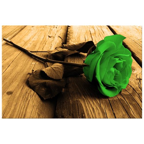 Obraz Na Płótnie 60X40 Piękna Róża na Arena.pl