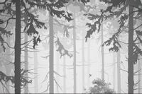 Fototapeta Las Drzewa NATURA do Sypialni 300x210