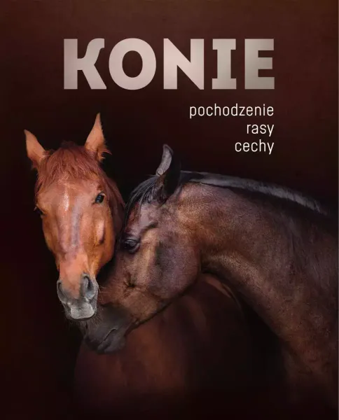 Konie pochodzenie rasy cechy zdjęcie 1