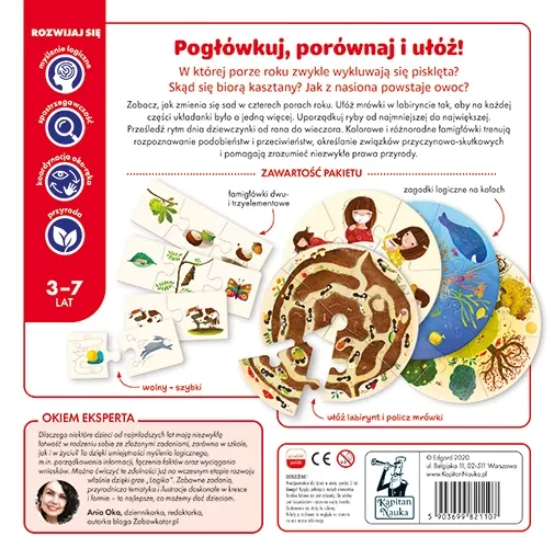 Gra edukacyjna. Logika zdjęcie 3