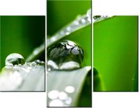 product-compare-58682086