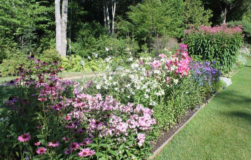 SUMIN NAWÓZ DO BYLIN 1KG GRANULOWANY GRANULKI NAWOZU OBFITE KWITNIENIE na Arena.pl