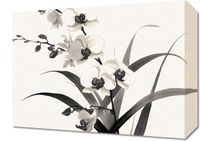 Obraz 40x30cm Orchidea