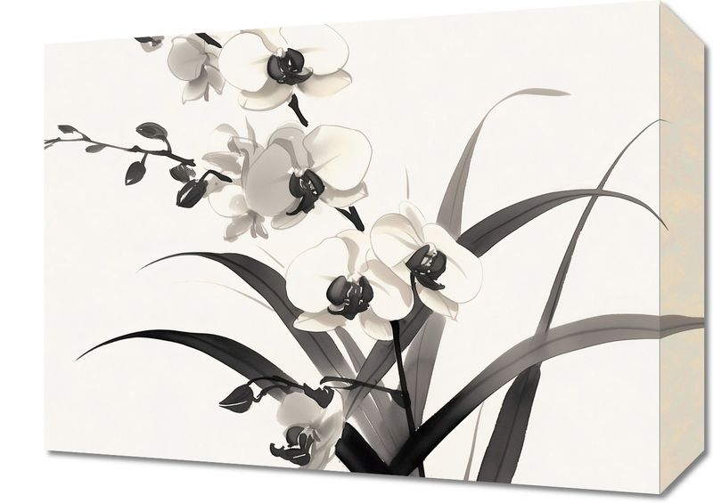 Obraz 40x30cm Orchidea zdjęcie 1